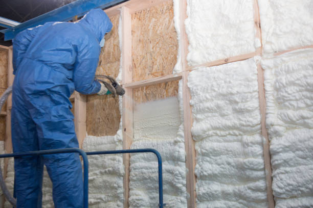 Best Reflective Insulation in Eulyptus Hills, CA